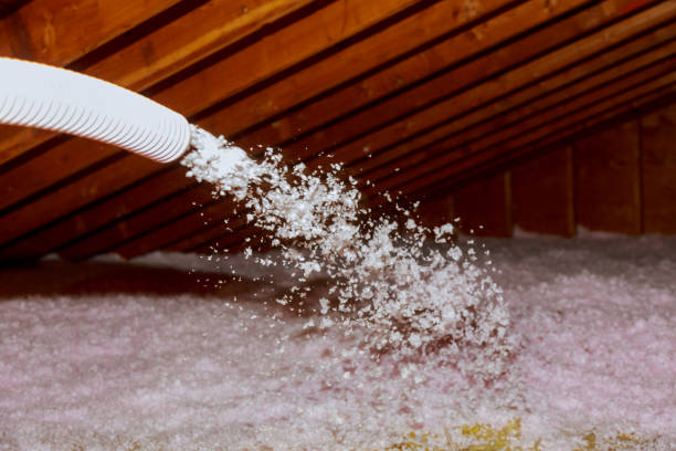Best Specialized Insulation Services in Smithville, TX